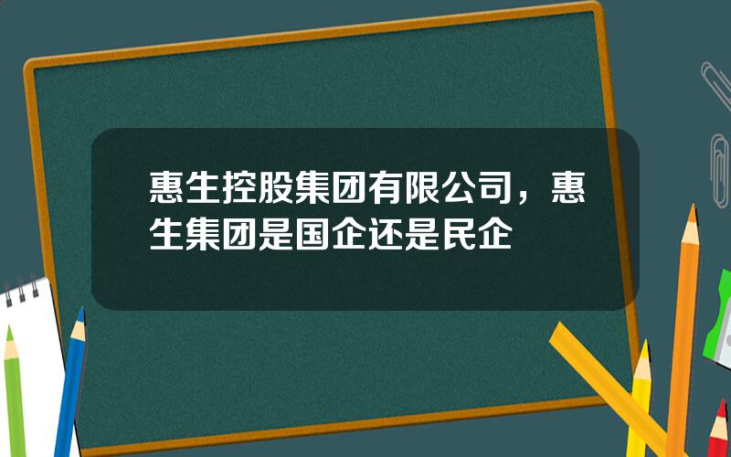 惠生控股集团有限公司，惠生集团是国企还是民企