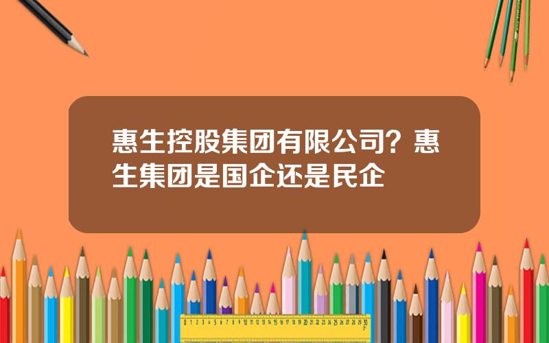 惠生控股集团有限公司？惠生集团是国企还是民企