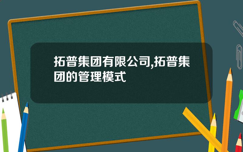 拓普集团有限公司,拓普集团的管理模式