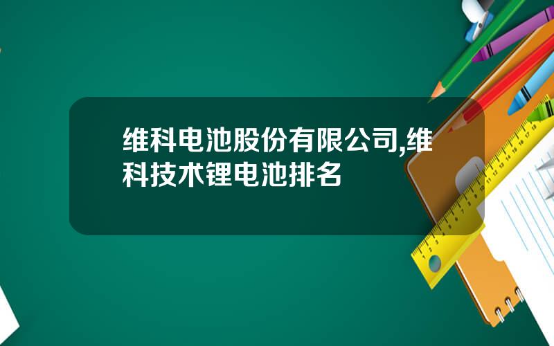维科电池股份有限公司,维科技术锂电池排名