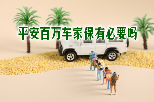 平安百万车家保有必要吗-王牌体验版和基础版怎么样-广东版